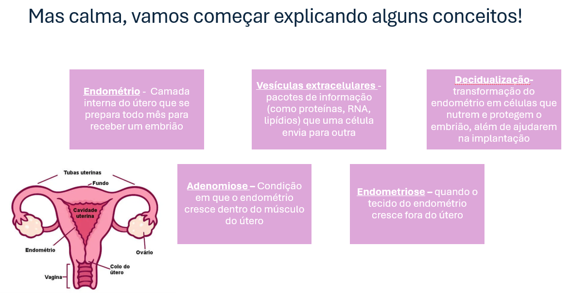 Captura de tela 2025-06-27 183531