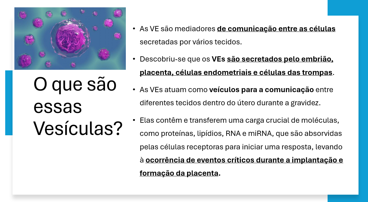 Captura de tela 2025-06-27 183918