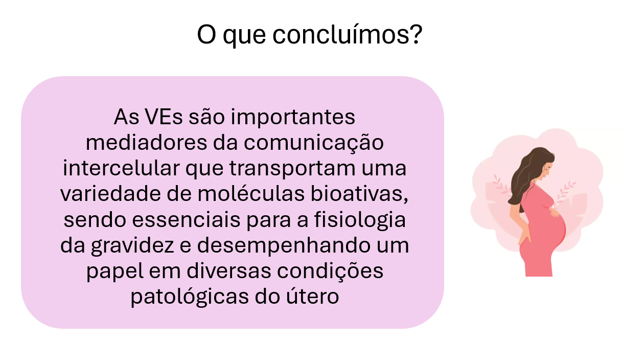 Captura de tela 2025-06-27 185455